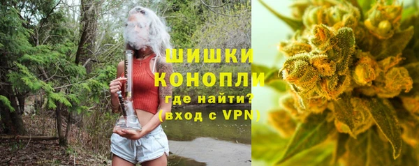 дмт Касимов