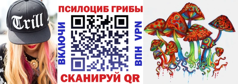 Купить где  Павловск  Галлюциногенные грибы Cubensis 